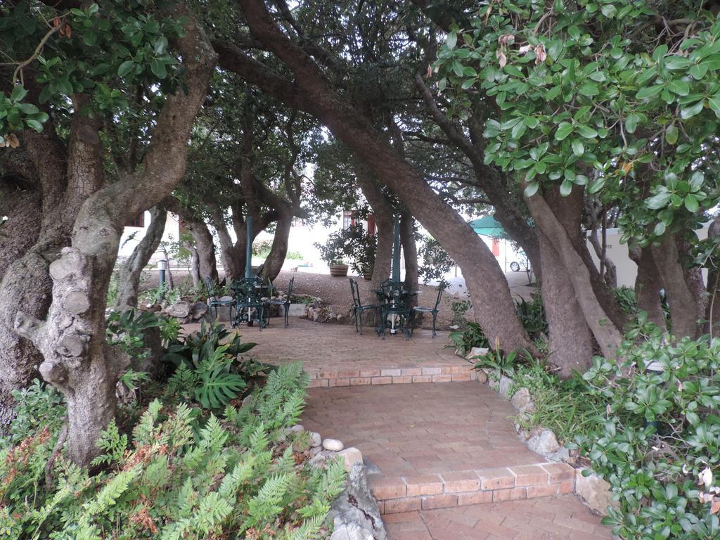 Milkwood Lodge Херманус Екстериор снимка