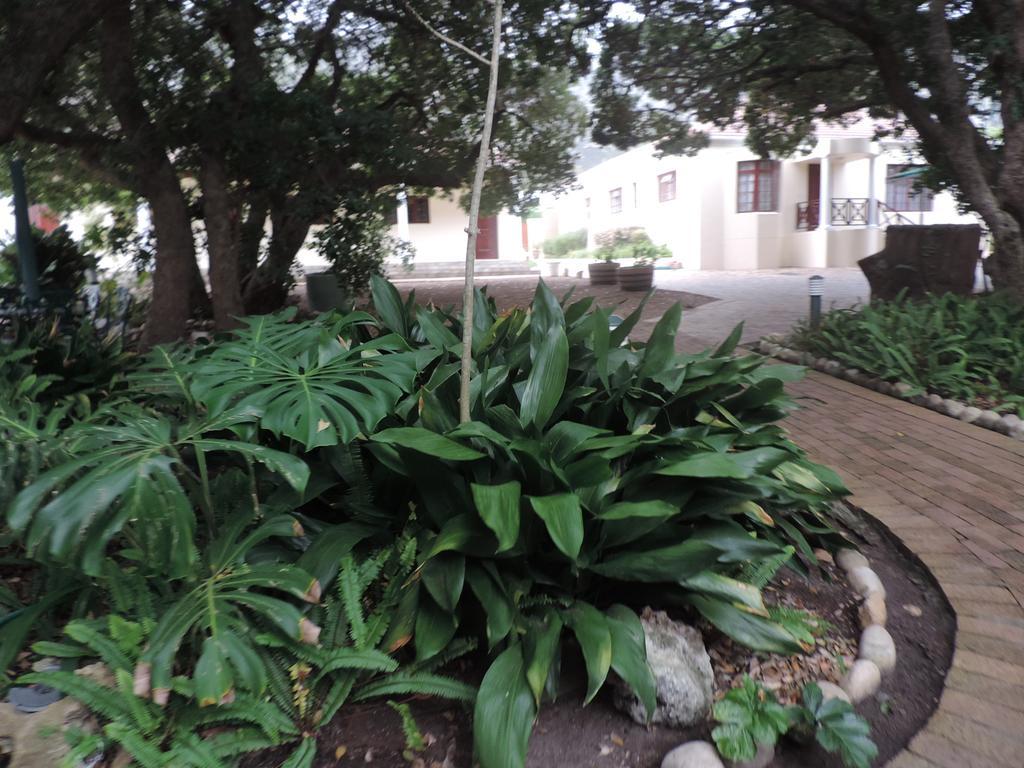 Milkwood Lodge Херманус Екстериор снимка